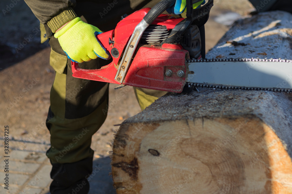 man sawing a big tree with a chainsaw. Sawdust. Close-up man sawing a big tree with a chainsaw. Sawdust. Close-up