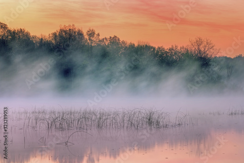 Foggy spring landscape at sunrise, Whitford Lake, Fort Custer State Park, Michigan, USA