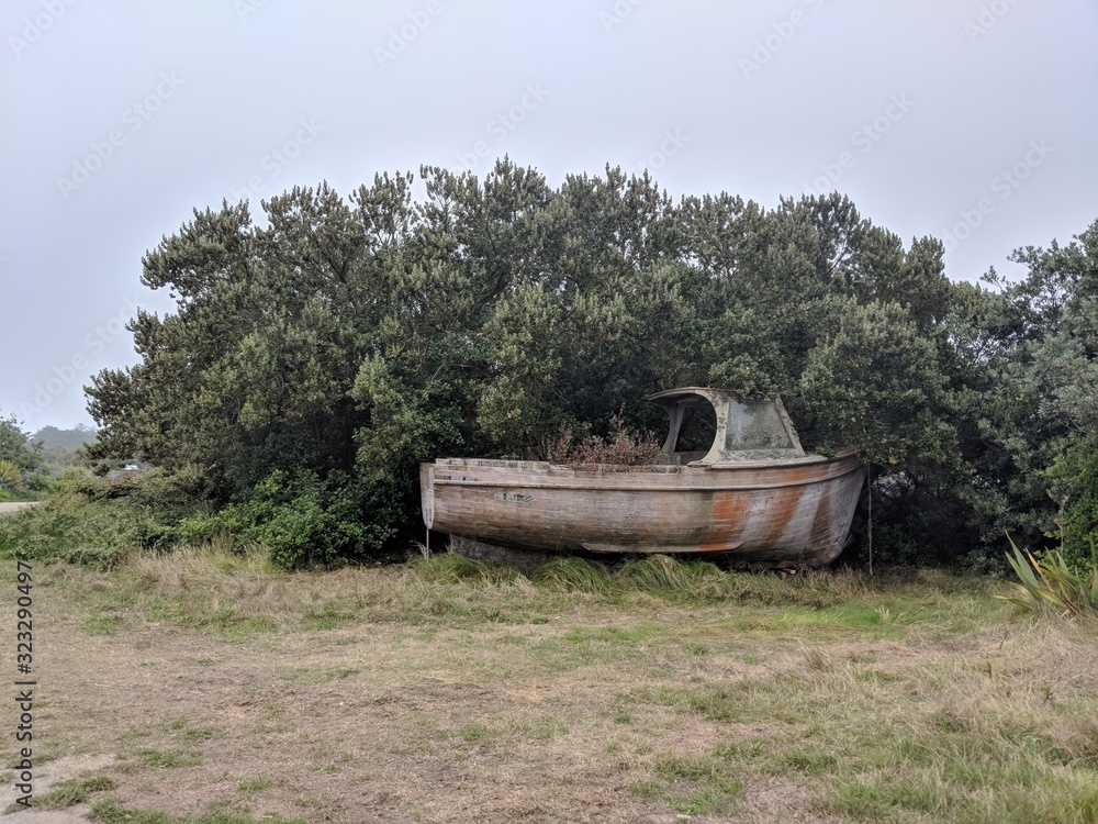Old boat overgrown, trees, undergrowth, old boat, climate change