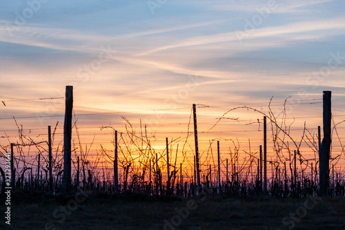 Sunset of Palava hill, South Moravia, Czech republic