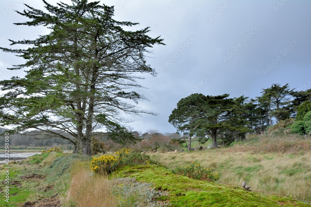 Obraz premium Landscape in the nature in Brittany France