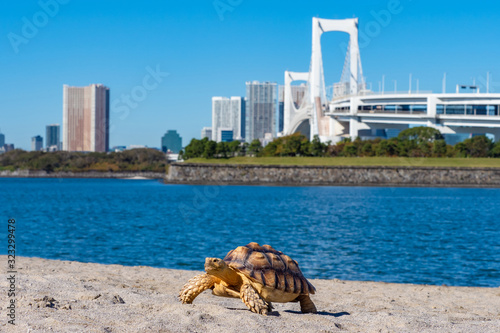 Odaiba island. Japan. Tokyo...