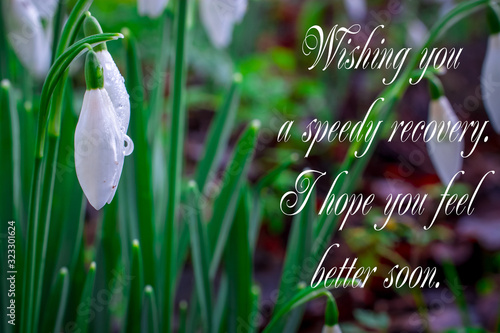 get well soon message , snowdrop on field and text photo