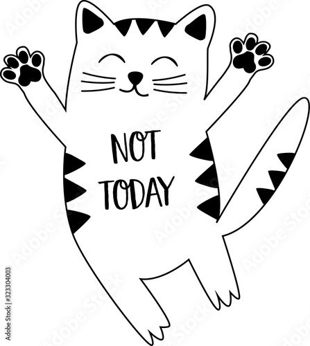 Not today cat