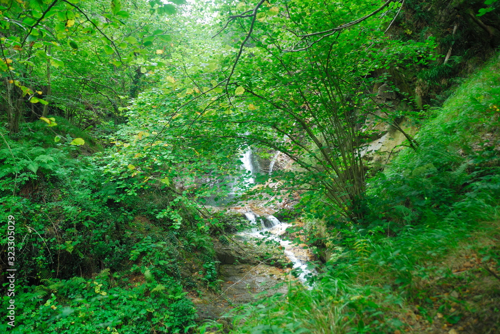 Obraz premium Cascada de agua en plena naturaleza