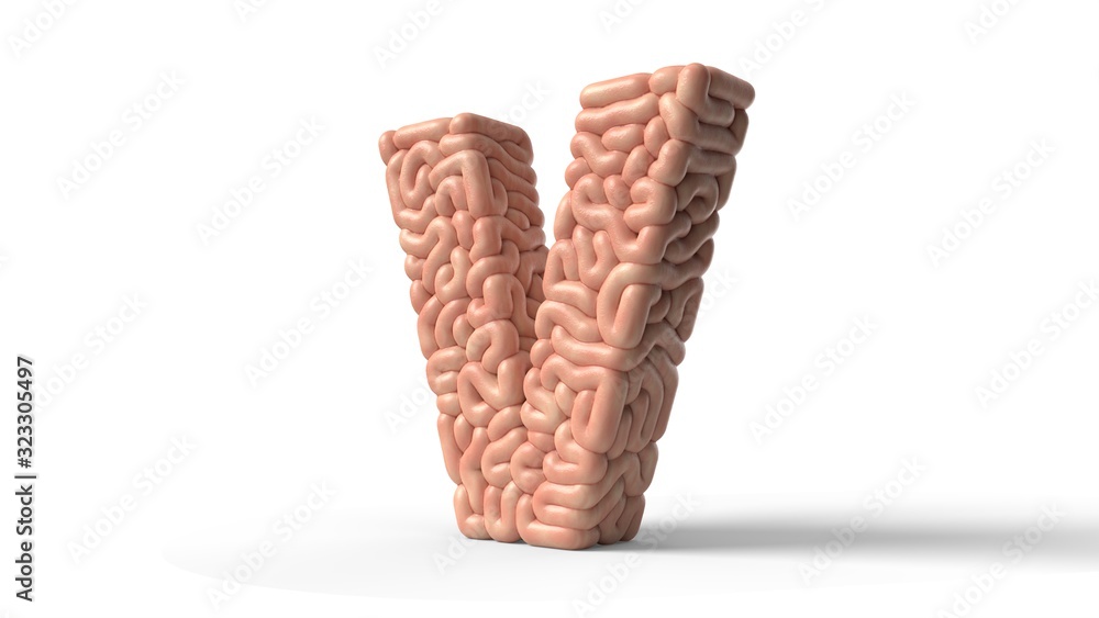 human brain in shape of letter V. 3D illustration human brain in shape of letter V. 3D illustration
