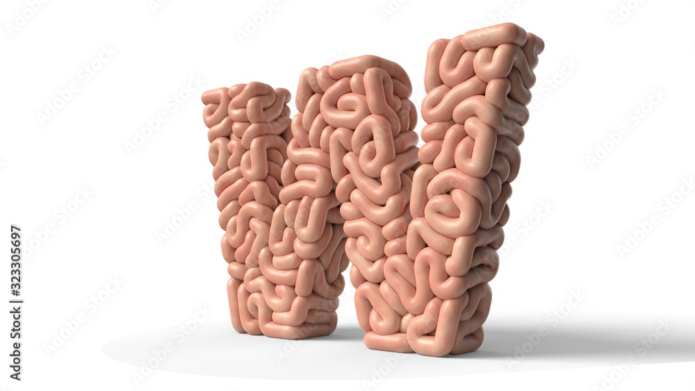 human brain in shape of letter W. 3D illustration human brain in shape of letter W. 3D illustration
