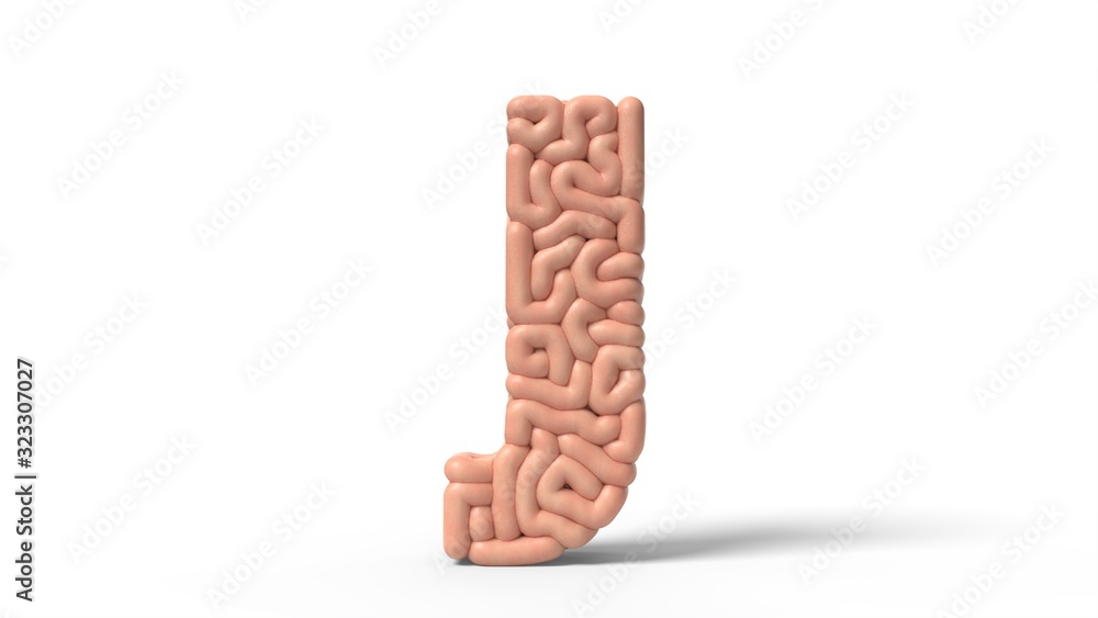 human brain in shape of letter j. 3D illustration human brain in shape of letter j. 3D illustration