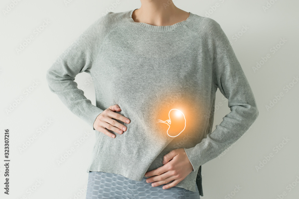Woman in casual grey clothes suffering from indigestion pain, highlighted vector visualisation of spleen - obrazy, fototapety, plakaty 