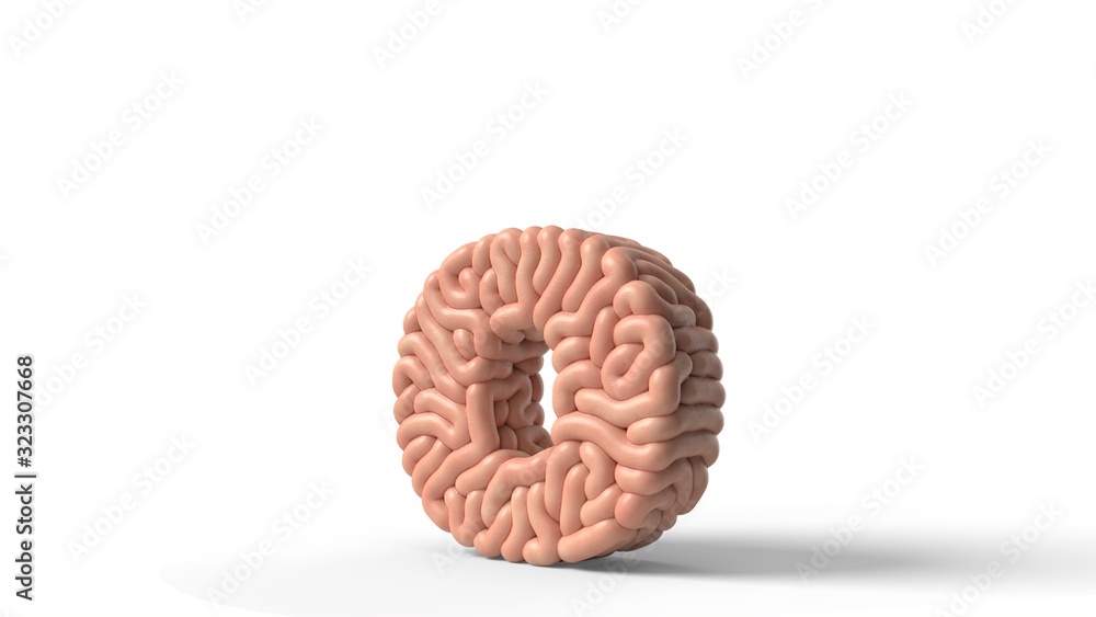 human brain in shape of letter o. 3D illustration human brain in shape of letter o. 3D illustration