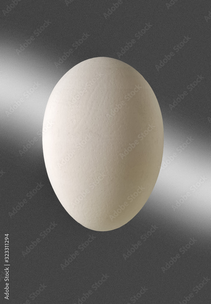 white egg on gray background
