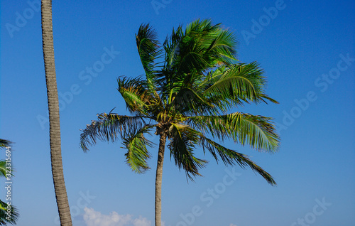 Brasilien Reiseziel