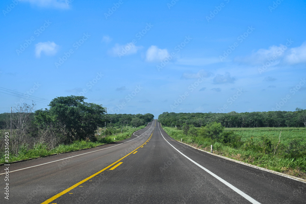 a lonely road with green nature on both sides and blue sky