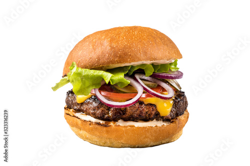 Tasty homemade burger consisting of bun, cheese, salad, red onion and tomato