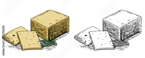 Hard cheese. Drawing. Slice of homemade cheese with herbs. Cut a couple of slices. Making a sandwich. A product made from milk. A picture for packaging is drawn. Vector. Isolate.