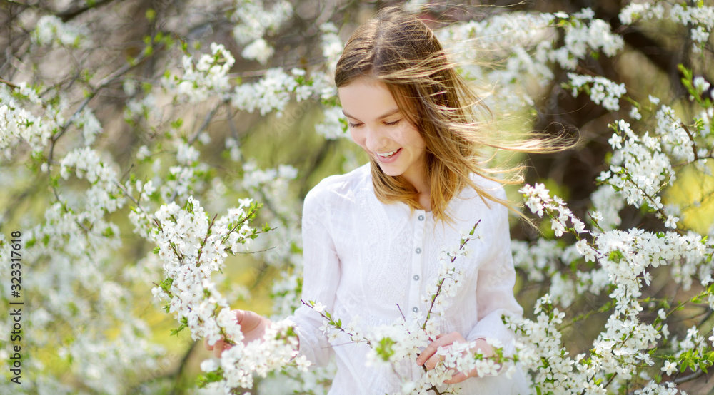 Adorable young girl in blooming cherry tree garden on beautiful spring day. Cute child picking fresh cherry tree flowers at spring. Adorable young girl in blooming cherry tree garden on beautiful spring day. Cute child picking fresh cherry tree flowers at spring.