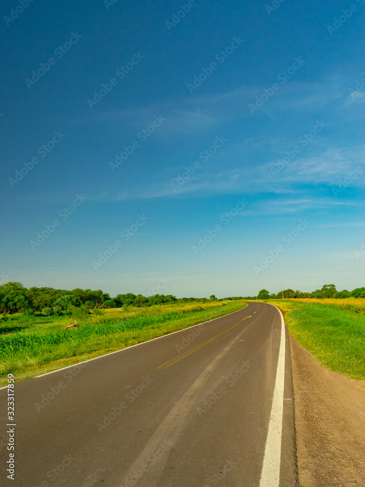 Fototapeta premium Carretera de Juan Jose Castelli - Chaco - Argentina