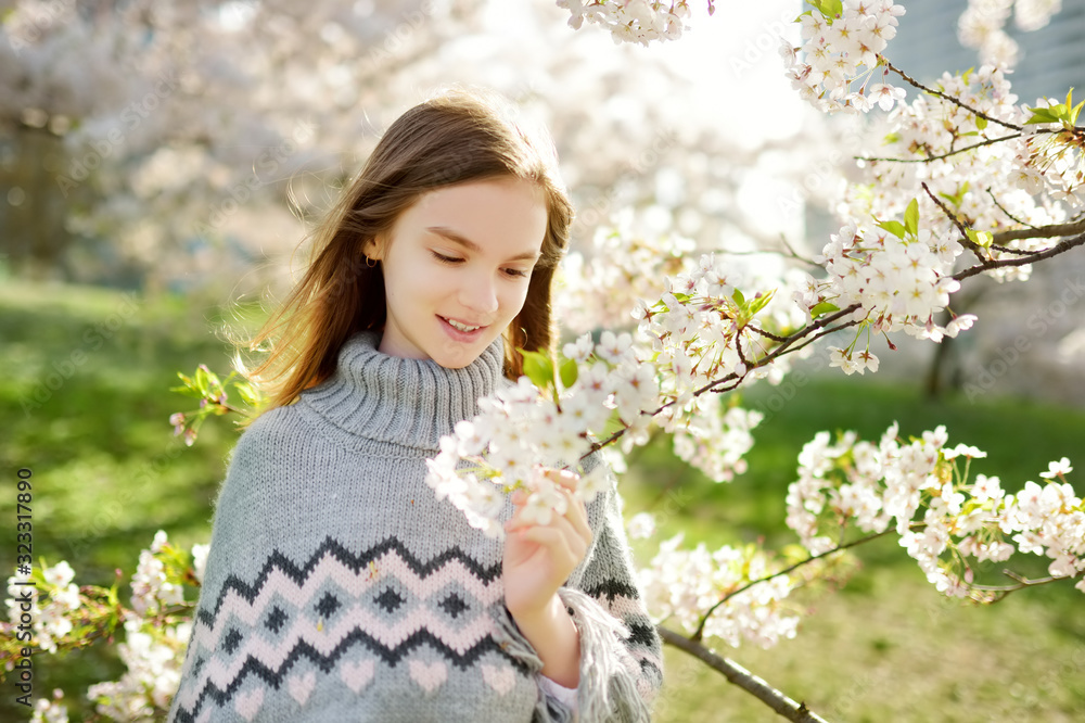 Adorable young girl in blooming cherry tree garden on beautiful spring day. Cute child picking fresh cherry tree flowers at spring. Adorable young girl in blooming cherry tree garden on beautiful spring day. Cute child picking fresh cherry tree flowers at spring.