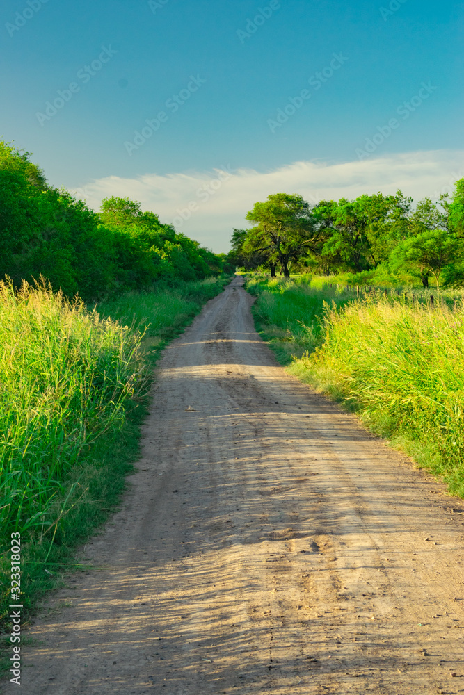 Caminos Rurales de Juan Jose Castelli - Chaco - Argentina