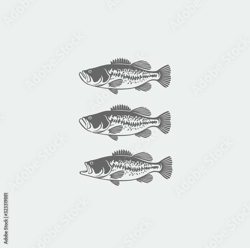 bass fishing logo