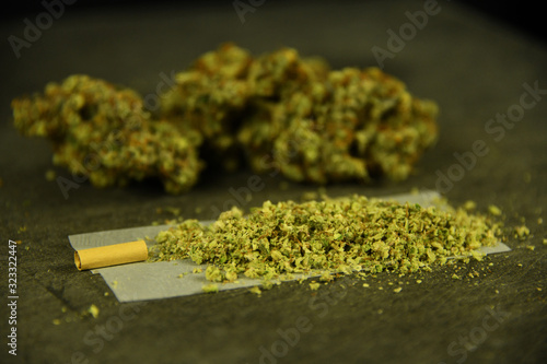 Marijuana Joint being rolled with marijuana buds in background