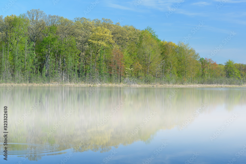 Landscape of the foggy, spring shoreline of Deep Lake, Yankee Springs State Park, Michigan, USA