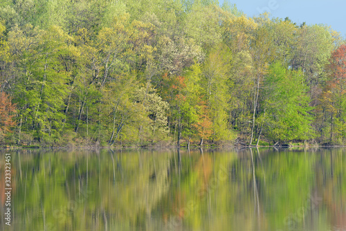 Spring landscape of the shoreline of Long Lake with reflections in calm water, Yankee Springs State Park, Michigan, USA