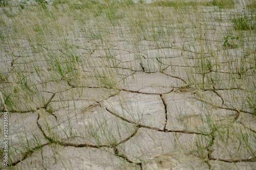 Badlands mud cracks