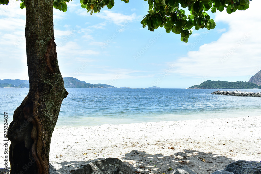 um Agradável sombra de uma árvore na Praia do Flamengo Stock Photo ...