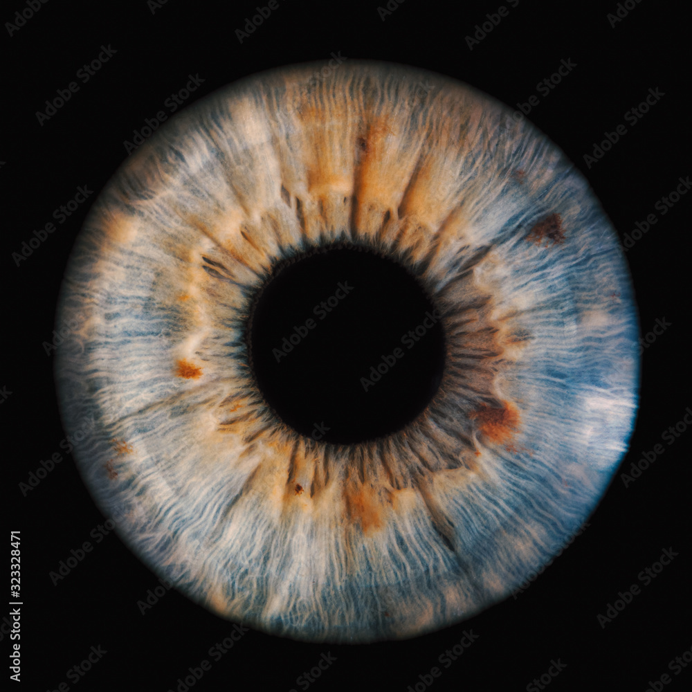 human iris on black background - obrazy, fototapety, plakaty 