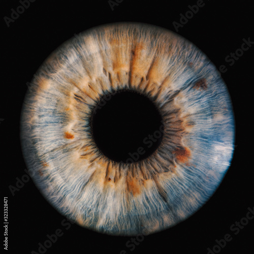 human iris on black background