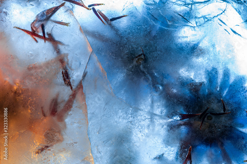 Frozen Flowers in Ice Block Abstract Macro