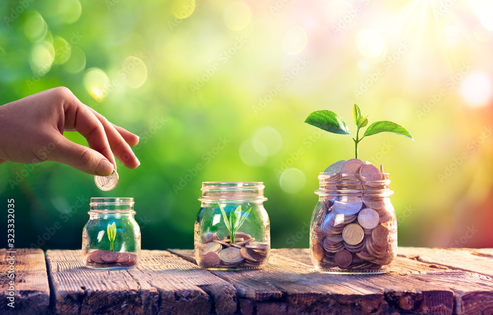 Save Money And Investment Concept - Plants Growing Up In Jars - obrazy, fototapety, plakaty 