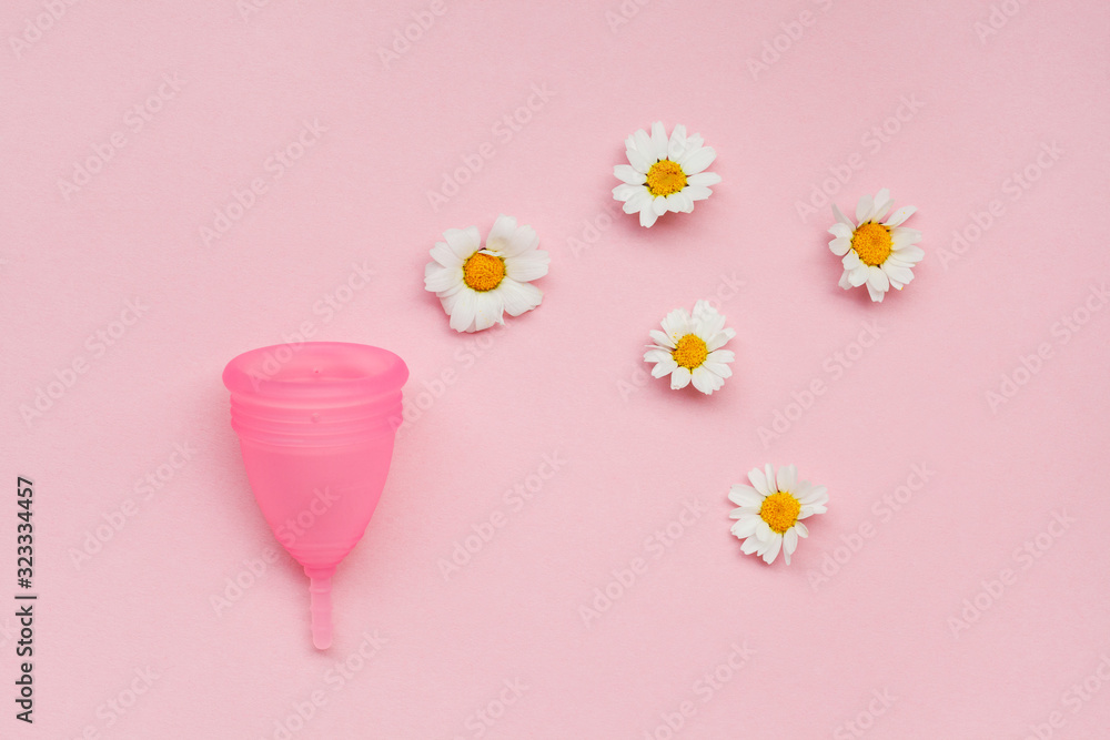 pink menstrual cup and chamomile flowers isolated on rose background, menstruation cycle, women gynecological health and intimate hygiene concept, zero waste product pink menstrual cup and chamomile flowers isolated on rose background, menstruation cycle, women gynecological health and intimate hygiene concept, zero waste product