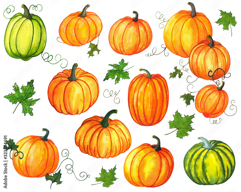 Bright, juicy orange and green pumpkins with leaves, isolated on white background. Hand draw watercolor painting. Perfect for making cards, prints, gift wrappers, stickers, kitchen utensils Bright, juicy orange and green pumpkins with leaves, isolated on white background. Hand draw watercolor painting. Perfect for making cards, prints, gift wrappers, stickers, kitchen utensils