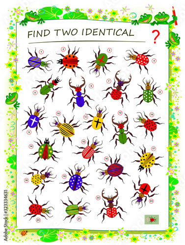 Logic puzzle game for children and adults. Find two identical bugs. Printable page for kids brain teaser book. Developing spatial thinking skills. IQ training test. Flat vector cartoon image.