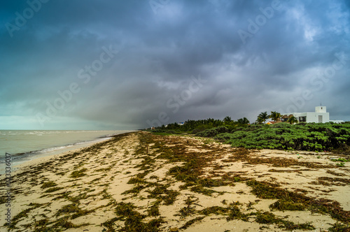 Playa del caribe con restos de sargazo en tarde con nubes de tormenta