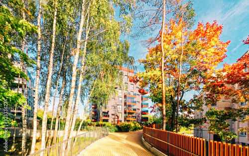 Birch trees and Modern glass residential apartment building