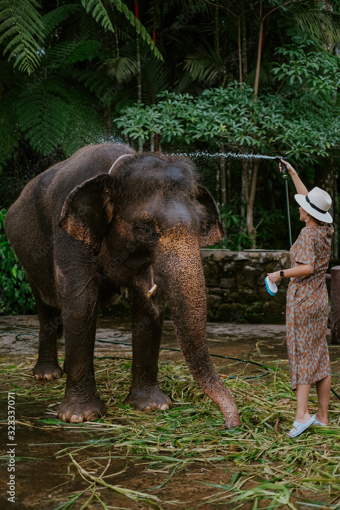Fototapeta premium Girl washing an elephant on Bali