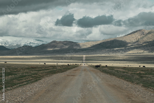 lonely road with cattle grazing in pasture with mountains and clouds