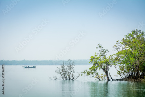 Sundarban landscape, India
