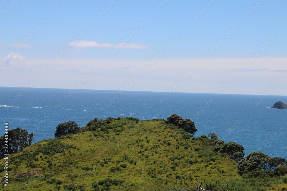 Obraz premium coast of New Zealand sea