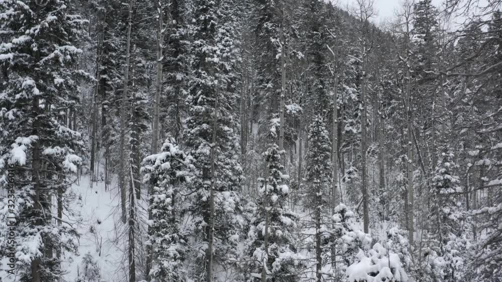 Aerial, drone shot, through snowy forest, in the Sangre de Cristo Mountains, on a gloomy, winter day, in Taos, New Mexico, USA Aerial, drone shot, through snowy forest, in the Sangre de Cristo Mountains, on a gloomy, winter day, in Taos, New Mexico, USA