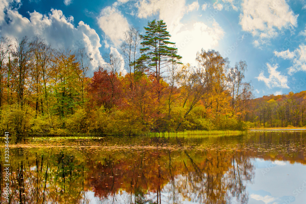 Obraz premium autumn landscape with lake
