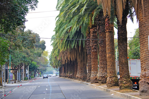 Fototapeta Naklejka Na Ścianę i Meble -  Street