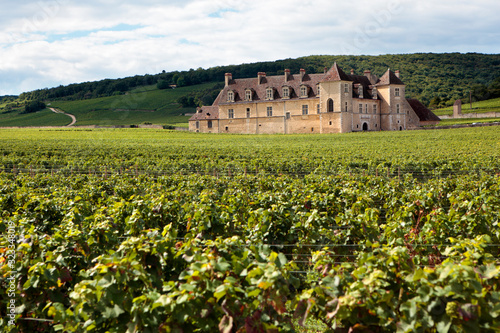 Vineyard chateau Burgundy, France photo