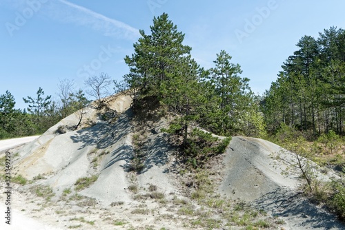 Kroatien - Istrien - Kras - Schiefersplitvorkommen photo