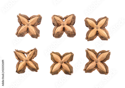 star bean isolated on white background top view