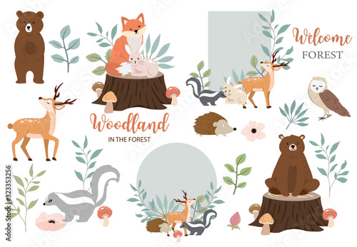 Cute woodland object collection with bear,owl,fox,skunk,mushroom and leaves.Vector illustration for icon,logo,sticker,printable