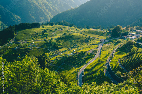 風景, 茶畑, 山, 自然, 空, 森, 緑, 旅行, 木, 景色, サマータイム, マチュピチュ, 雲, 青, ヒル, 木, ボルケーノ, 頂点, ヒル, 景色, 全景, 雲, 公園, 熱帯雨林, 観光